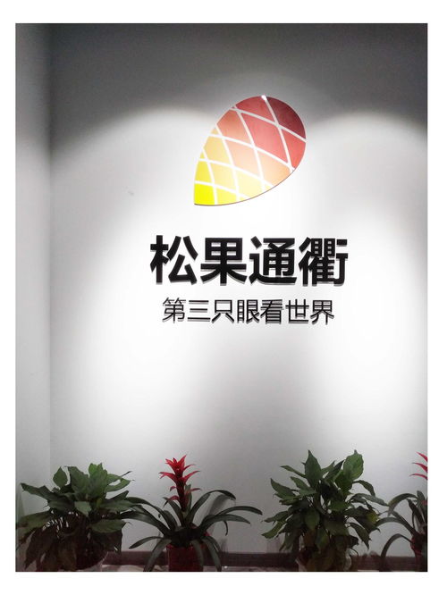 武漢松果通衢網(wǎng)絡(luò)科技 計算機科技領(lǐng)域的創(chuàng)新力量